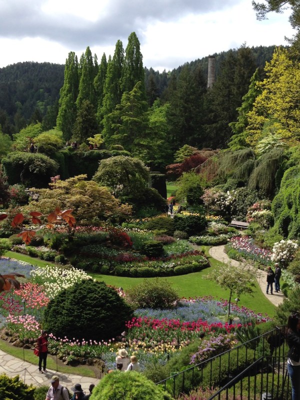 Butchart 3