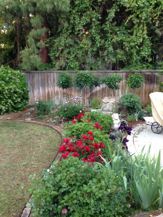 4-16-16 first deadhead back