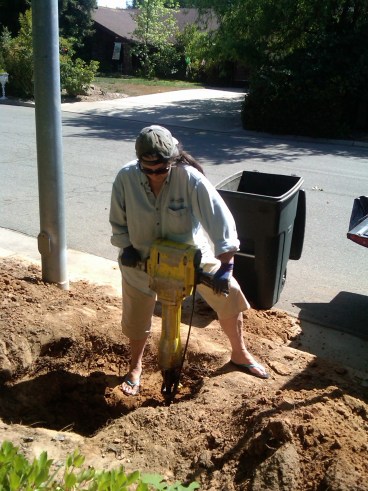 IMG00191-20120508-1020