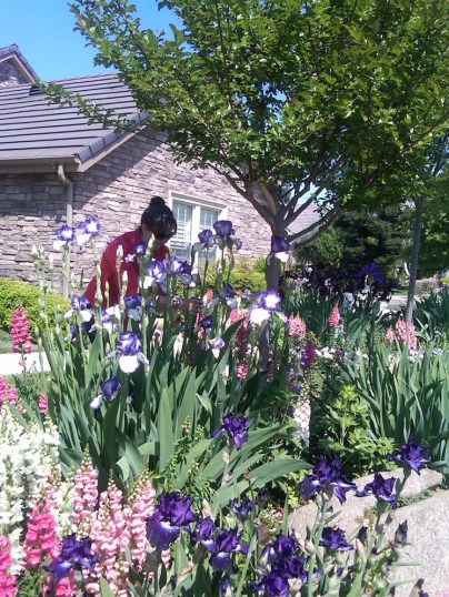 IMG00158-20120423-1420