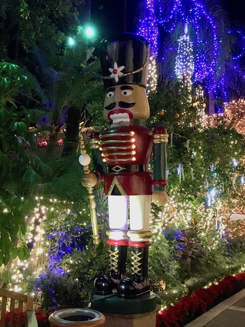 Festival of Lights 6