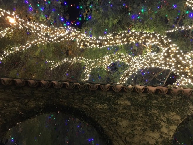 Festival of Lights 7